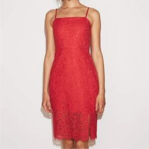 Express Cocktail Midi Dress